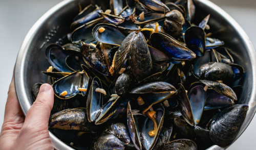 Moules de bouchot Moules de bouchot