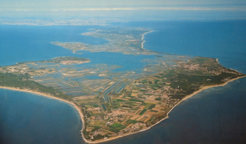 Île de Ré
