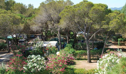 La Baume La Palmeraie