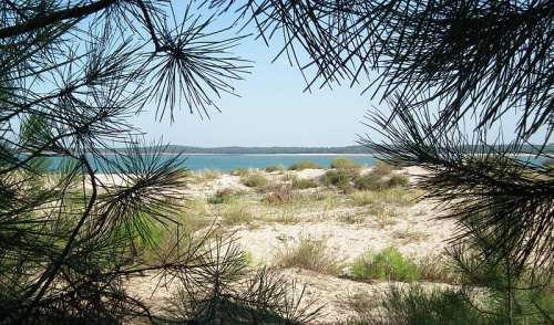 Île de Ré, Île d'Oléron 